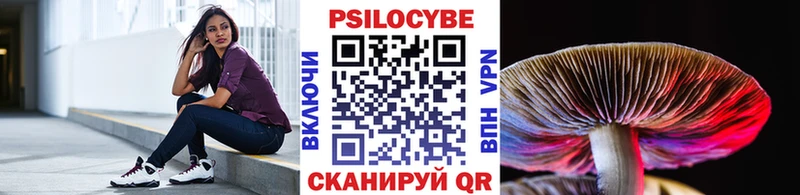 Псилоцибиновые грибы GOLDEN TEACHER  Семилуки 